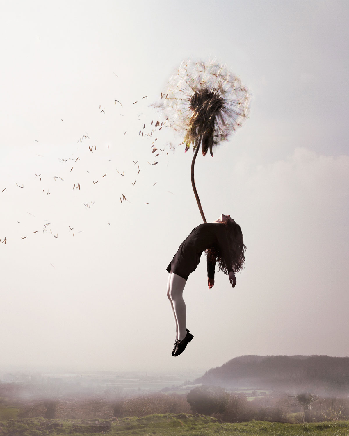 Maia Flore