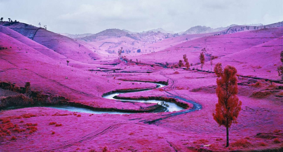 richard_mosse_001