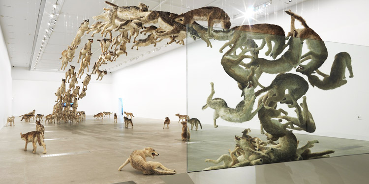 cai_guo-quiang_featured_image