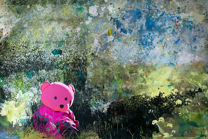 Pink Bear by Paul Robinson | the PhotoPhore