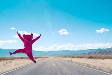 Pink Bear by Paul Robinson