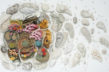 Ceramic corals by Courtney Mattison