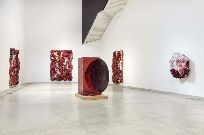 anish_kapoor_005